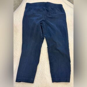 Talbots Midnight Blue Cropped Pants